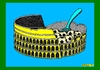 Cartoon: Gnocchi alla Romana (small) by srba tagged pizzapitch italian food gnocchi pasta colosseum footbal