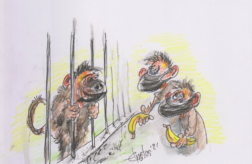Cartoon: Caged (medium) by Erki Evestus tagged caged,zoo,human,monkey,banana