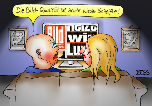 Cartoon: Scheiß Bild-Qualität (medium) by besscartoon tagged mann,frau,paar,beziehung,fernsehen,tv,bild,bildzeitung,bildqualität,presse,bess,besscartoon