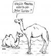 Cartoon: Mitgift (small) by besscartoon tagged kamel,heiraten,hochzeit,wüste,bess,besscartoon