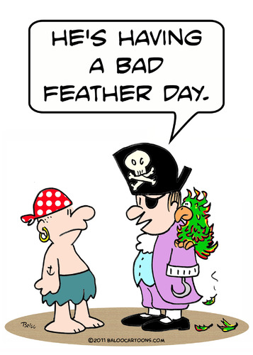 Cartoon: bad feather day pirate parrot (medium) by rmay tagged bad,feather,day,pirate,parrot