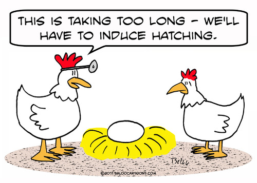 Cartoon: chicken egg induce hatching (medium) by rmay tagged chicken,egg,induce,hatching