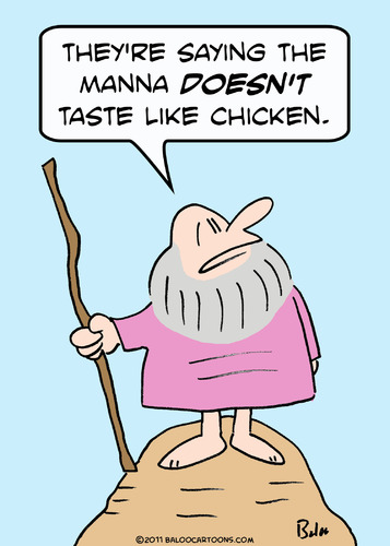 Cartoon: chicken taste moses manna (medium) by rmay tagged chicken,taste,moses,manna