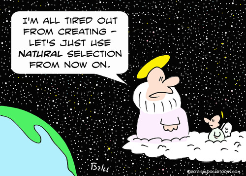 Cartoon: darwin natural selection god (medium) by rmay tagged darwin,natural,selection,god