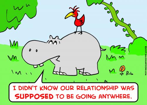 Cartoon: hippopotamus bird relationship (medium) by rmay tagged hippopotamus,bird,relationship