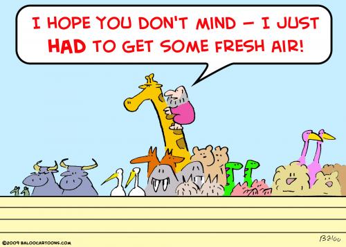 Cartoon: noah ark giraffe fresh air (medium) by rmay tagged noah,ark,giraffe,fresh,air