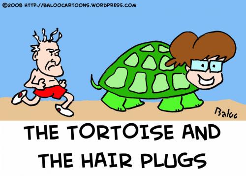 Cartoon: PALIN BIDEN TORTOISE HAIR PLUGS (medium) by rmay tagged palin,biden,tortoise,hair,plugs