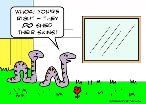 Cartoon: shed skin snakes sex window (medium) by rmay tagged shed,skin,snakes,window